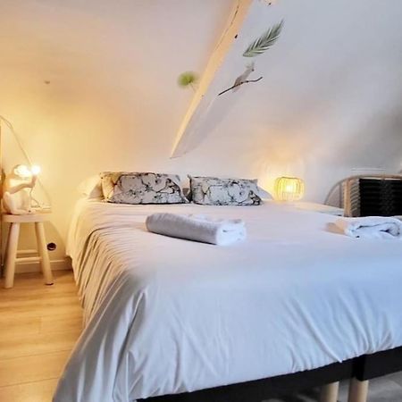 La Cabane - Petit Studio Mansarde - Plage 50M - Rue Gratuite Saint-Malo Eksteriør billede