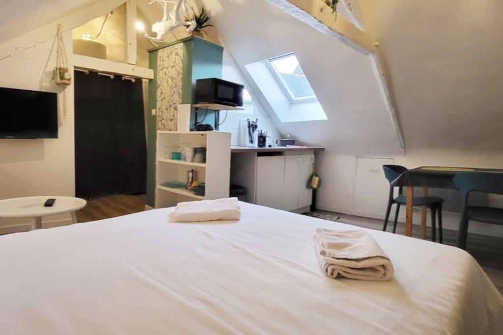 La Cabane - Petit Studio Mansarde - Plage 50M - Rue Gratuite Saint-Malo Eksteriør billede
